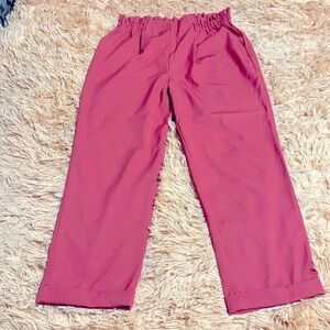 Sienna Sky Rust wide leg trouser pants paper bag high waist stretch NWOT…
